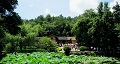 長沙出發(fā)到花明樓、韶山、張家界國家森林公園、天門仙山國家森林公園四日游